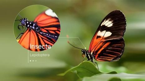 光投影机重磅来袭智慧教学再升级尊龙凯时链接光峰高清高亮4K激(图2)